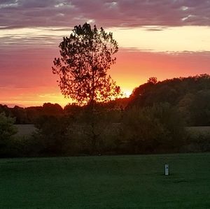 Poshmark Ambassador Meet your Posher, Andrea